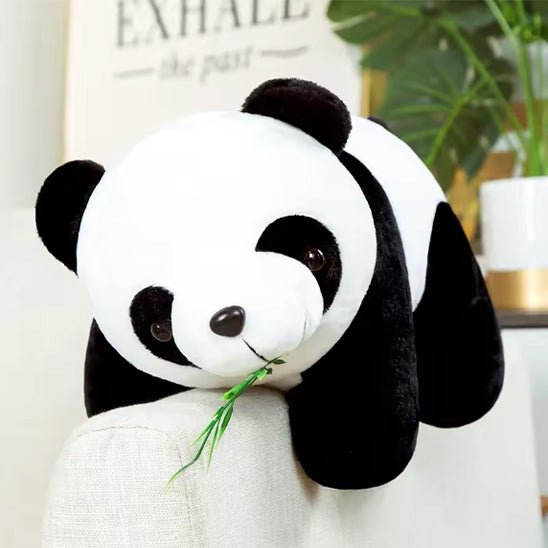 Peluche panda un cadeau pour tous