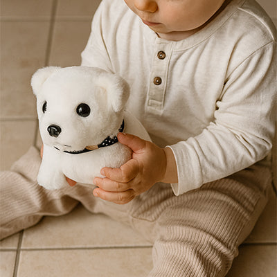 Peluche Interactive éveille la créativité