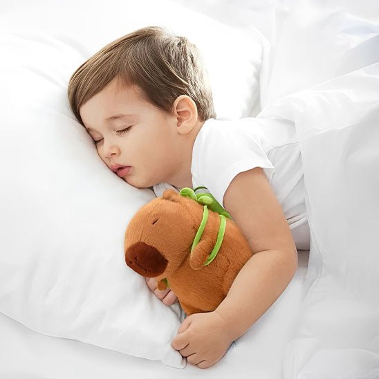 Peluche capybara carrousel